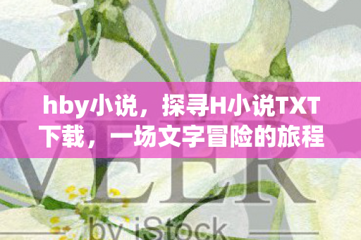 hby小说，探寻H小说TXT下载，一场文字冒险的旅程