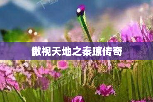 傲视天地之秦琼传奇