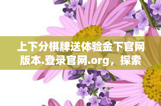 上下分棋牌送体验金下官网版本.登录官网.org，探索游戏世界的另一面，私服游戏的魅力与挑战