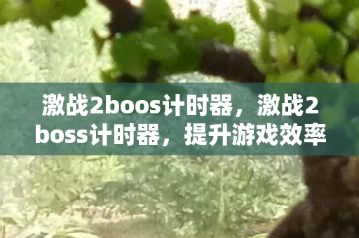 激战2boos计时器，激战2boss计时器，提升游戏效率与战斗体验