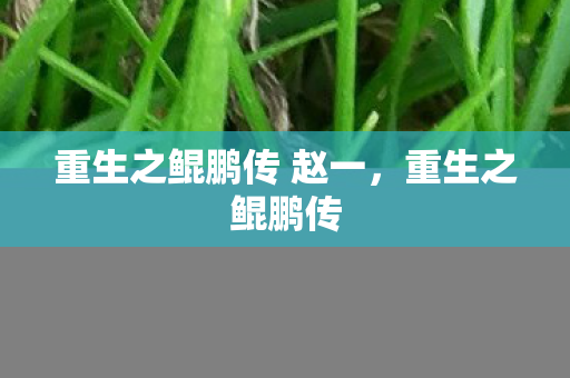 重生之鲲鹏传 赵一，重生之鲲鹏传