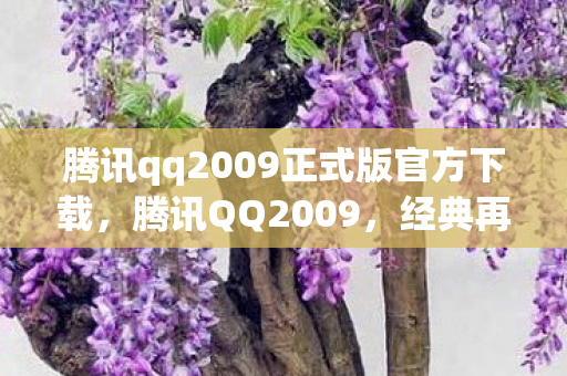 腾讯qq2009正式版官方下载，腾讯QQ2009，经典再现，回忆里的聊天工具