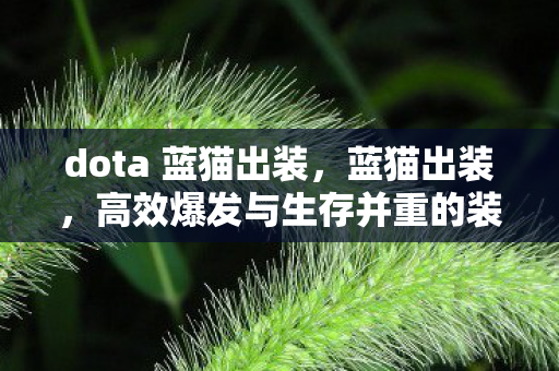 dota 蓝猫出装，蓝猫出装，高效爆发与生存并重的装备选择
