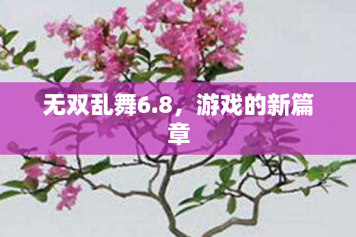 无双乱舞6.8，游戏的新篇章