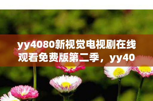 yy4080新视觉电视剧在线观看免费版第二季，yy4080新视觉，探索高清影视的无限可能
