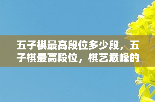 五子棋最高段位多少段，五子棋最高段位，棋艺巅峰的荣耀与传承