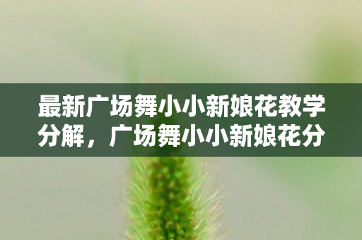 最新广场舞小小新娘花教学分解，广场舞小小新娘花分解动作详解