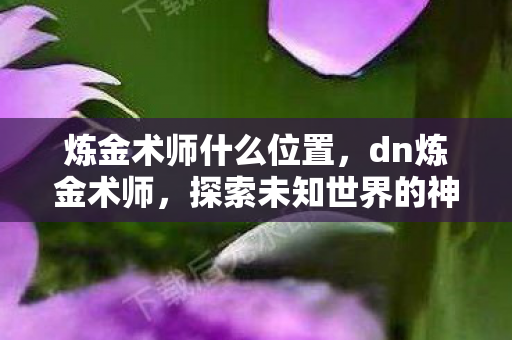 炼金术师什么位置，dn炼金术师，探索未知世界的神秘技艺
