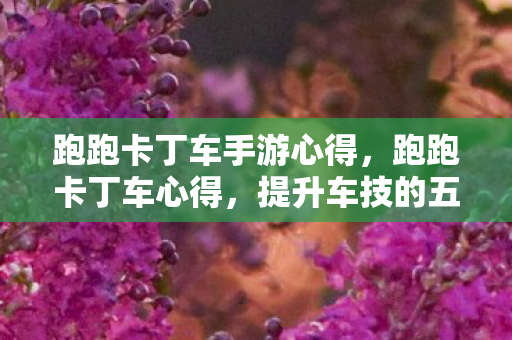 跑跑卡丁车手游心得，跑跑卡丁车心得，提升车技的五大秘诀