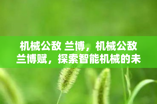 机械公敌 兰博,机械公敌兰博赋,探索智能机械的未来挑战 机械公敌 兰博,机械公敌兰博赋,探索智能机械的未来挑战