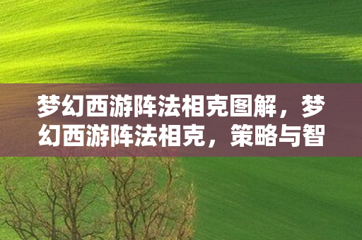 梦幻西游阵法相克图解，梦幻西游阵法相克，策略与智慧的碰撞