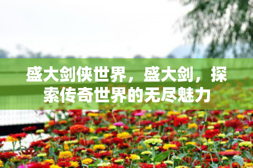 盛大剑侠世界，盛大剑，探索传奇世界的无尽魅力