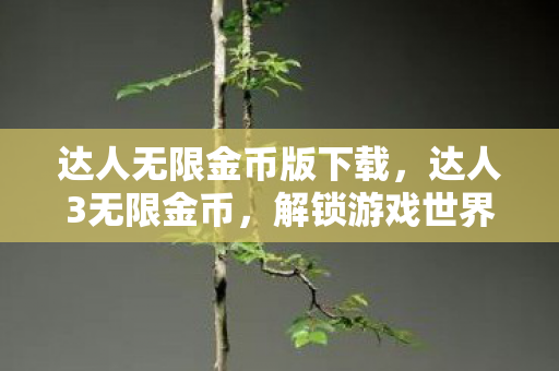达人无限金币版下载,达人3无限金币,解锁游戏世界的无限可能 达人无限金币版下载,达人3无限金币,解锁游戏世界的无限可能