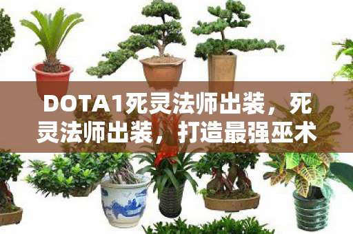DOTA1死灵法师出装，死灵法师出装，打造最强巫术师的装备指南