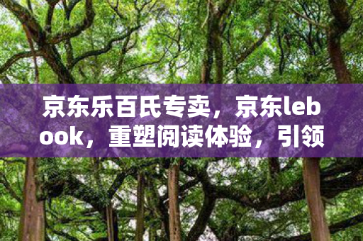 京东乐百氏专卖，京东lebook，重塑阅读体验，引领数字时代新风尚