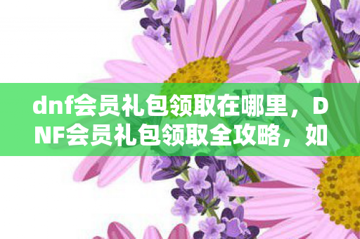 dnf会员礼包领取在哪里，DNF会员礼包领取全攻略，如何轻松获取丰厚奖励？