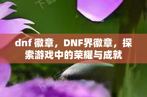dnf 徽章，DNF界徽章，探索游戏中的荣耀与成就