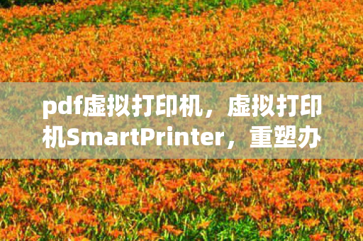 pdf虚拟打印机，虚拟打印机SmartPrinter，重塑办公打印新体验