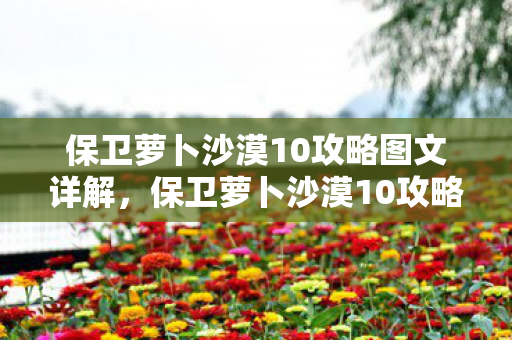 保卫萝卜沙漠10攻略图文详解，保卫萝卜沙漠10攻略，策略与技巧的全面解析