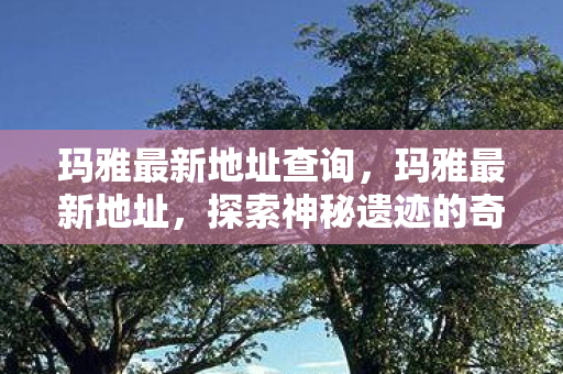 玛雅最新地址查询，玛雅最新地址，探索神秘遗迹的奇幻之旅