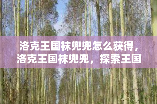 洛克王国袜兜兜怎么获得,洛克王国袜兜兜,探索王国中的时尚与乐趣 洛克王国袜兜兜怎么获得,洛克王国袜兜兜,探索王国中的时尚与乐趣