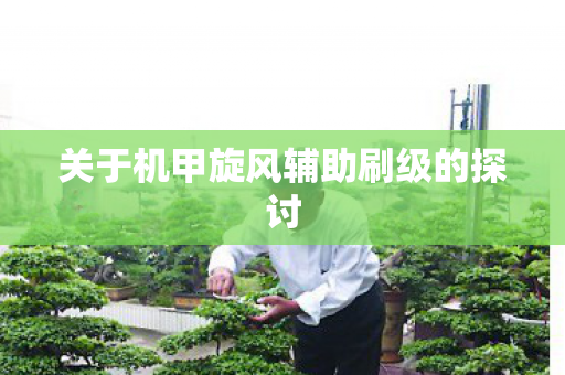 关于机甲旋风辅助刷级的探讨