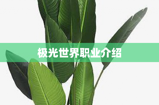 极光世界职业介绍