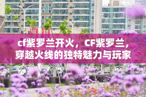 cf紫罗兰开火，CF紫罗兰，穿越火线的独特魅力与玩家情怀
