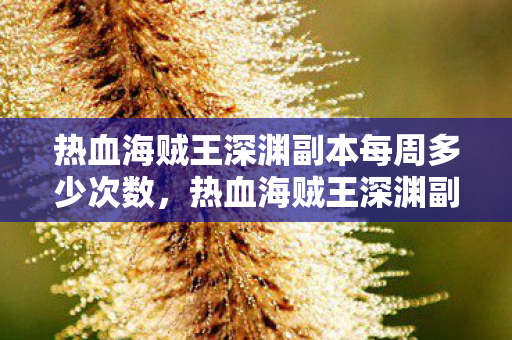 热血海贼王深渊副本每周多少次数，热血海贼王深渊副本，挑战未知，探索无限