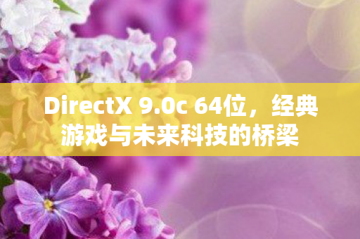 DirectX 9.0c 64位，经典游戏与未来科技的桥梁