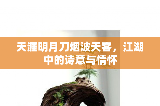 天涯明月刀烟波天客，江湖中的诗意与情怀