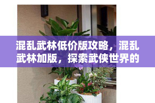 混乱武林低价版攻略，混乱武林加版，探索武侠世界的另类玩法