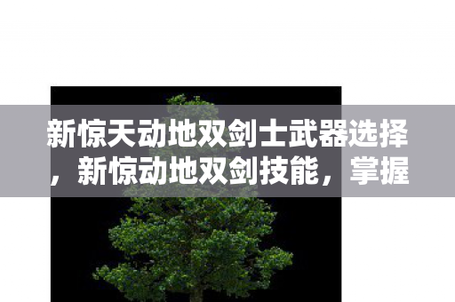 新惊天动地双剑士武器选择，新惊动地双剑技能，掌握双剑精髓，开启战斗新篇章
