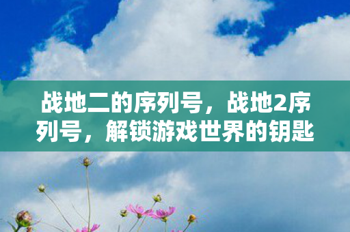 战地二的序列号，战地2序列号，解锁游戏世界的钥匙