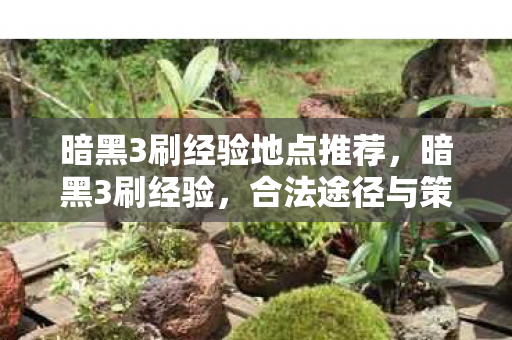 暗黑3刷经验地点推荐，暗黑3刷经验，合法途径与策略详解