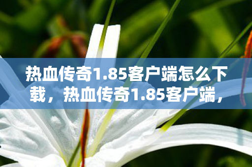 热血传奇1.85客户端怎么下载，热血传奇1.85客户端，重温经典，再燃激情