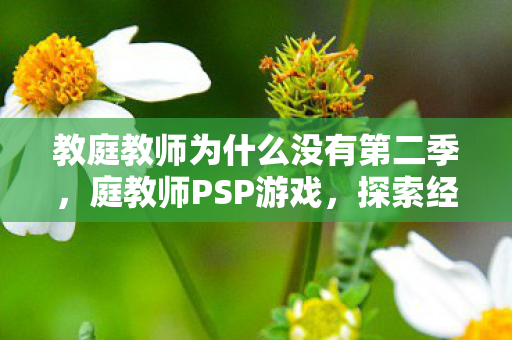 教庭教师为什么没有第二季，庭教师PSP游戏，探索经典与创新的完美结合