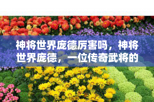 神将世界庞德厉害吗，神将世界庞德，一位传奇武将的崛起与影响