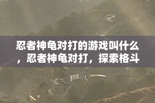 忍者神龟对打的游戏叫什么，忍者神龟对打，探索格斗游戏的魅力与策略