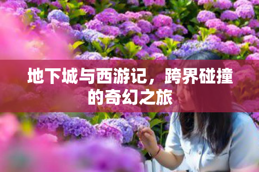 地下城与西游记，跨界碰撞的奇幻之旅