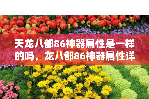 天龙八部86神器属性是一样的吗，龙八部86神器属性详解，打造极致战斗体验