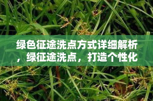 绿色征途洗点方式详细解析，绿征途洗点，打造个性化角色，提升游戏体验