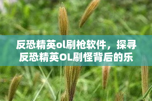 反恐精英ol刷枪软件，探寻反恐精英OL刷怪背后的乐趣与挑战