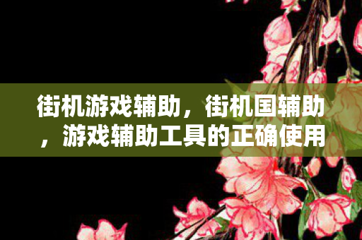 街机游戏辅助，街机国辅助，游戏辅助工具的正确使用与规范