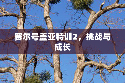 赛尔号盖亚特训2，挑战与成长