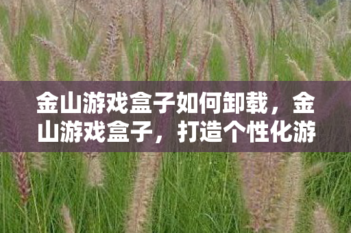 金山游戏盒子如何卸载，金山游戏盒子，打造个性化游戏体验的必备神器