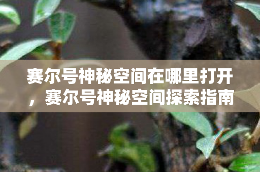 赛尔号神秘空间在哪里打开，赛尔号神秘空间探索指南，揭秘未知领域