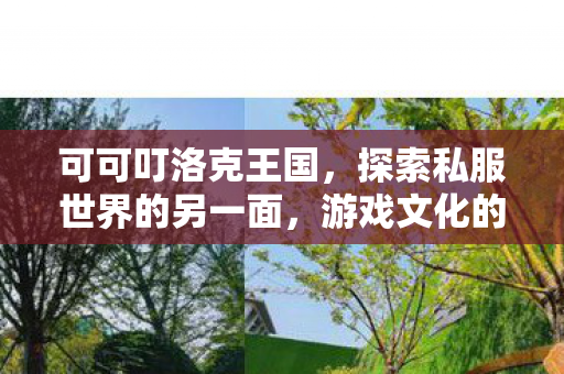 可可叮洛克王国，探索私服世界的另一面，游戏文化的自由与限制