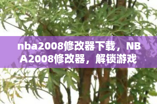 nba2008修改器下载，NBA2008修改器，解锁游戏新体验，合法合规的玩法探索