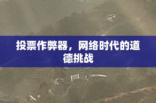 投票作弊器，网络时代的道德挑战